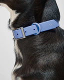 Wild One Dog Collar