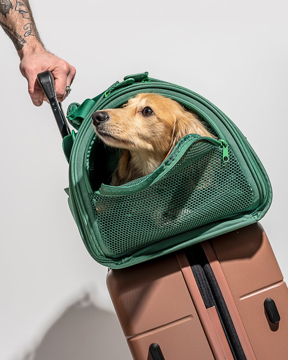 Wild One Travel Carrier – BYMiT Wholesale