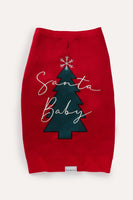 Max Bone Santa Baby Jumper