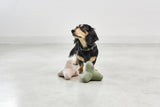 MiaCara Quattro Dog Toys