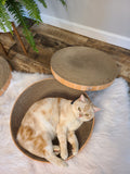 Necoichi Cozy Cat Scratcher Bowl Replacement Pad 2P