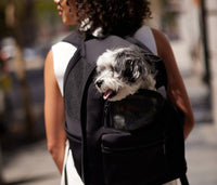 Max Bone Go Everywhere Backpack Carrier For Dogs