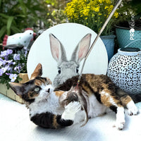 Profeline - Cat Toy Fur Shaglet Refill