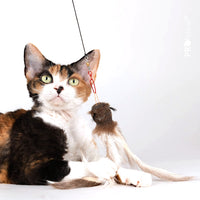 Profeline - Cat Toy Fur Shaglet Refill