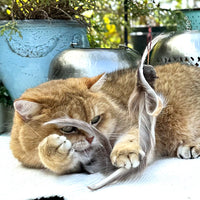 Profeline - Cat Toy Fur Shaglet Refill