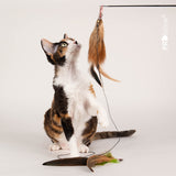 Profeline - Long Cat Wand XXL Fishing Rod, 1 Meter