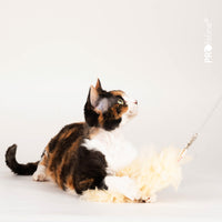 Profeline - Cat Toy Spiral Coil Cat Fishing Rod