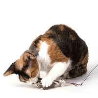 Profeline - Cat Toy La Cucaracha Refill