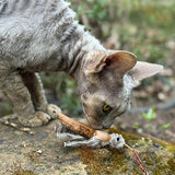 Profeline - Cat Toy La Cucaracha Refill