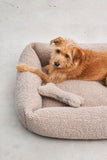 MiaCara Dog Soft Play Bones