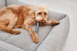 MiaCara Ramo Retrieving Dog Toys