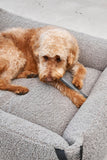 MiaCara Ramo Retrieving Dog Toys