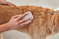 MiaCara Pelo Dog Bathing brush