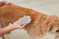 MiaCara Pelo Dog Bathing brush