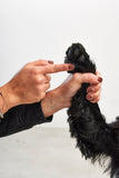 MiaCara Zampa Paw and nose balm for Dogs