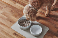 MiaCara Lento Slow Feeding Insert for Dogs