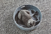 MiaCara Unica Cat Blanket