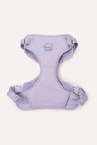 Max Bone Double Panel Dog Harness