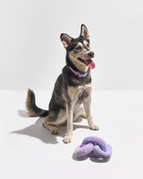 Wild One Plush Dog Toy