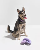 Wild One Plush Dog Toy