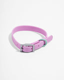 Wild One Dog Collar