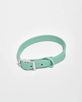 Wild One Dog Collar
