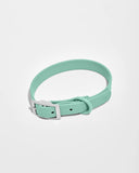 Wild One Dog Collar