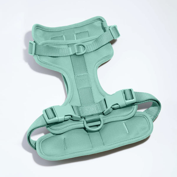 Wild One Dog Harness 2.0