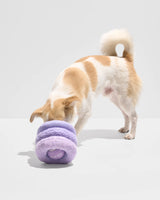 Wild One Plush Dog Toy