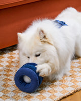 Wild One Plush Dog Toy