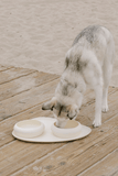 Max Bone Dog Square & Bubble Bowls & Mat