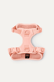 Max Bone Double Panel Dog Harness
