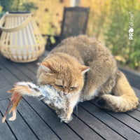 Profeline - Cat Toy Wild Fur Buster
