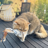 Profeline - Cat Toy Wild Fur Buster