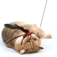 Profeline - Cat Toy Flatter Feather - 3 Set Refill