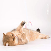 Profeline - Cat Toy Frozen Flutter Refill