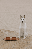 Max Bone Dog Square & Bubble Bowls & Mat