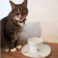 Necoichi Dining Tray