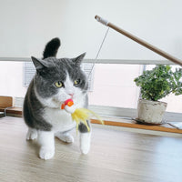 Necoichi Flitters Wobble Mouse Cocoon Toys