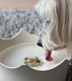 VitaJuwel CrownJuwel Pet Water Bowl