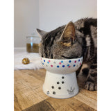 Necoichi Raised Cat Food Bowl Large