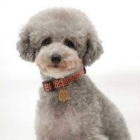 Necoichi Ninja Dog Collar