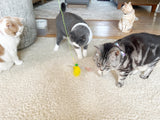 Necoichi Crinkly Critters Bouncy Bee Adjustable Cat Wand