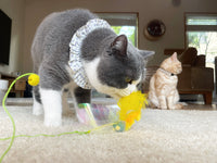 Necoichi Crinkly Critters Bouncy Bee Adjustable Cat Wand
