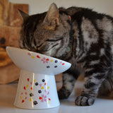 Necoichi Tilted Stress Free Raised Cat Food Bowl