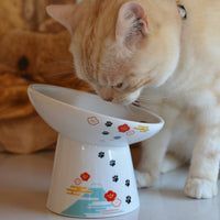 Necoichi Tilted Stress Free Raised Cat Food Bowl
