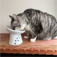 Necoichi Tilted Stress Free Raised Cat Food Bowl