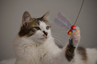 Necoichi Crinkly Critters Dancing Dragonfly Trio Cat Wand