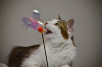 Necoichi Crinkly Critters Fluttery Fish Cat Wand