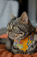 Necoichi Bandana Cat Collar With Air Tag Pocket